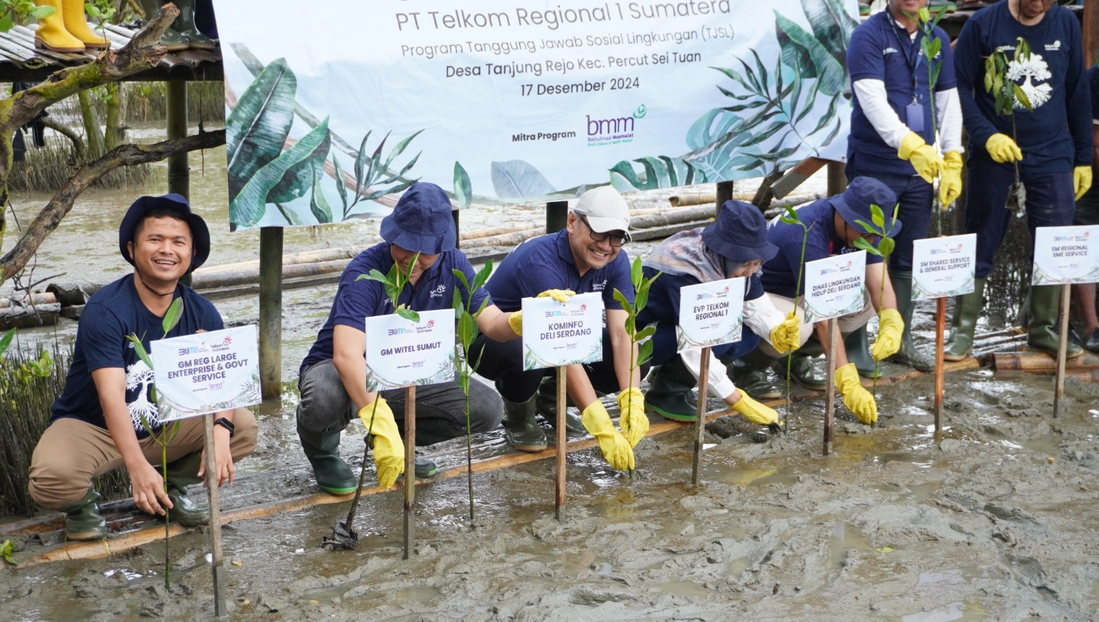 Telkom regional 1 peneneman bibit mangrove